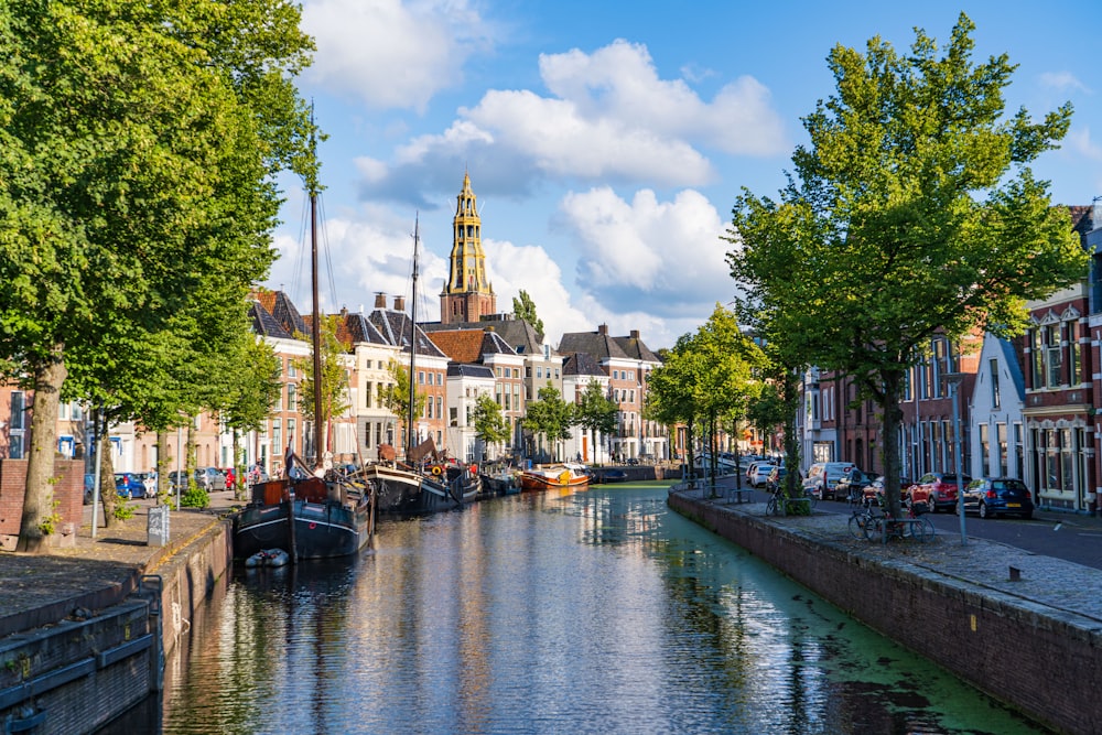 boat on river near green trees and buildings during daytime