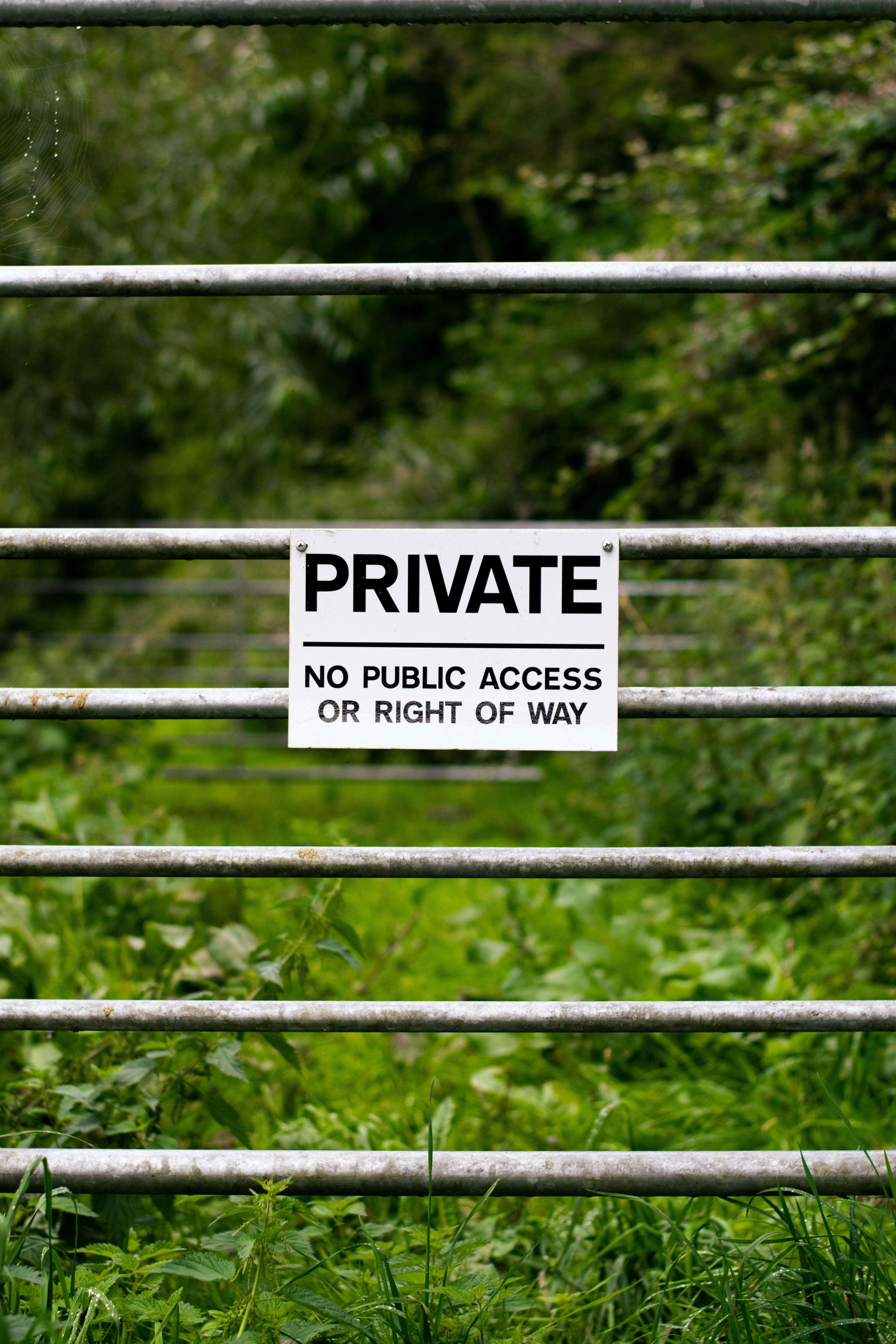 white and black no smoking sign