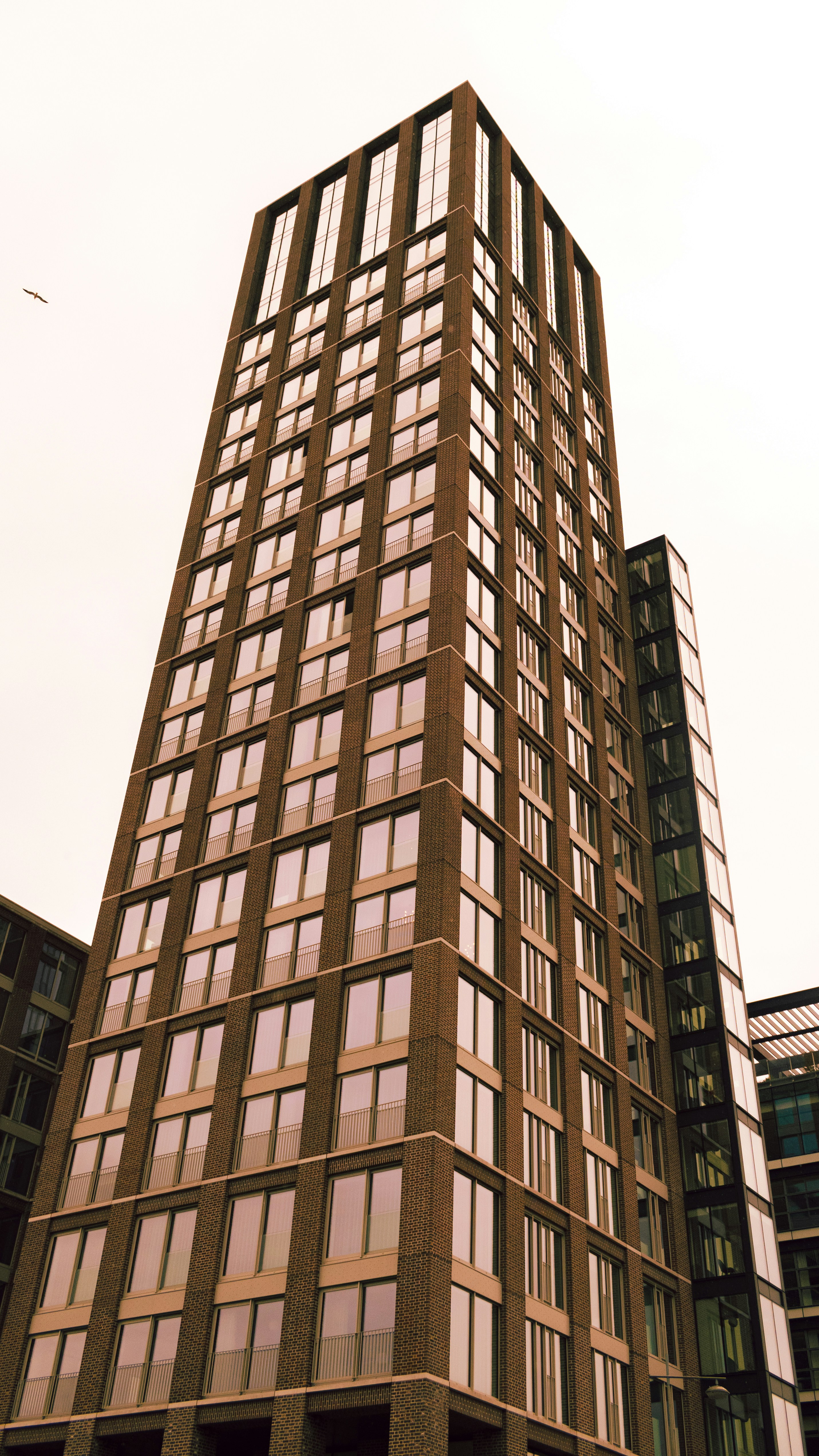 Photo by viniciusdcd