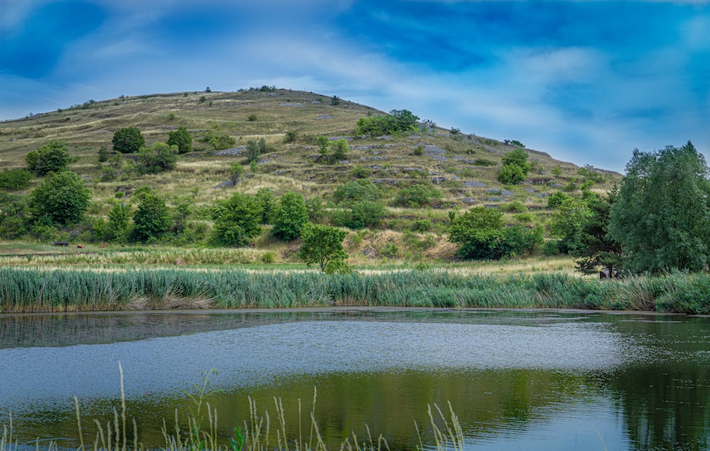 green grass field near lake under blue sky during daytime