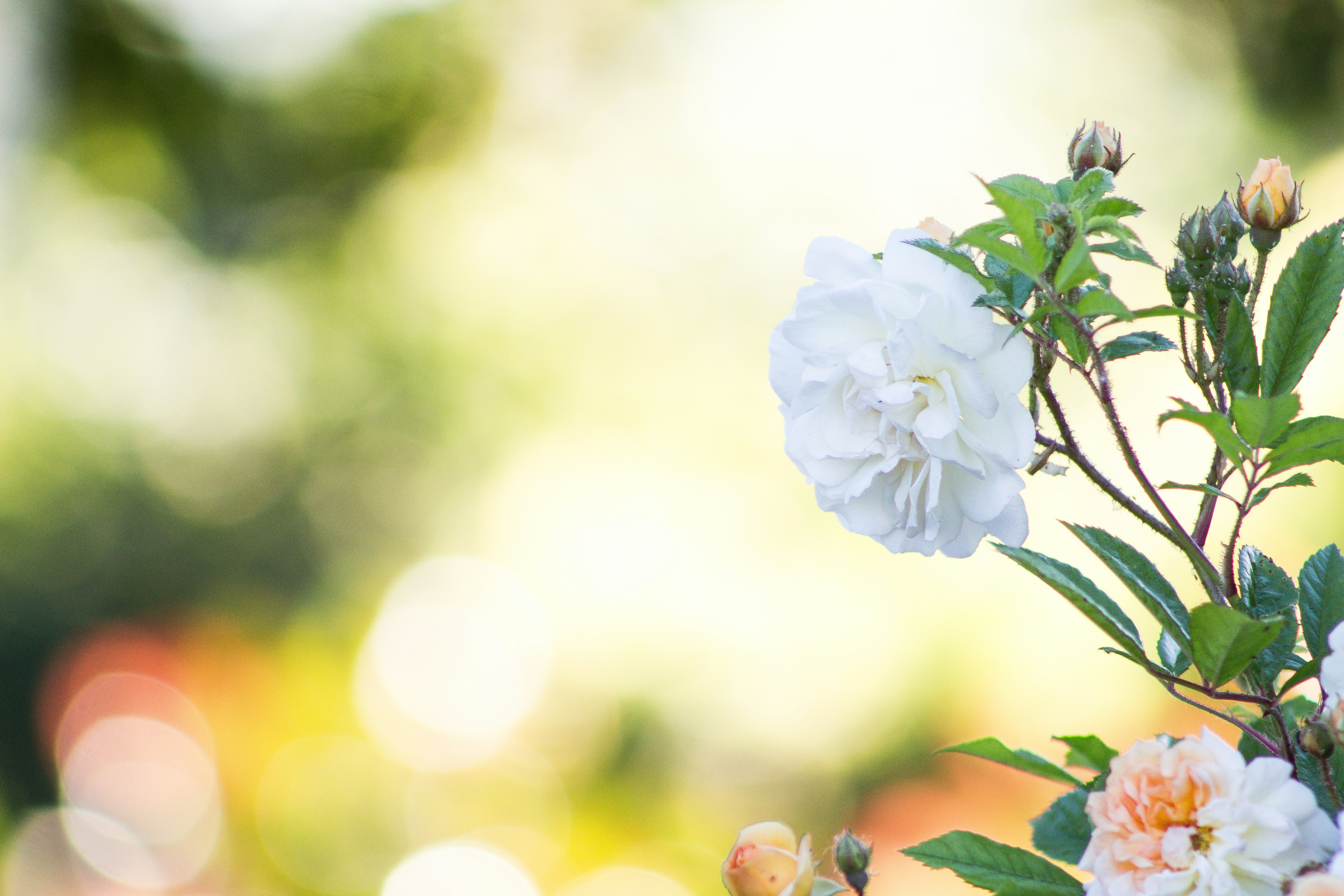 Photo by ruben_christen