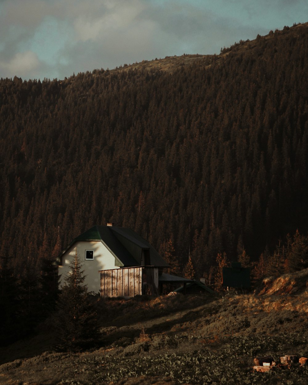 white and brown wooden house near brown trees under cloudy sky during daytime