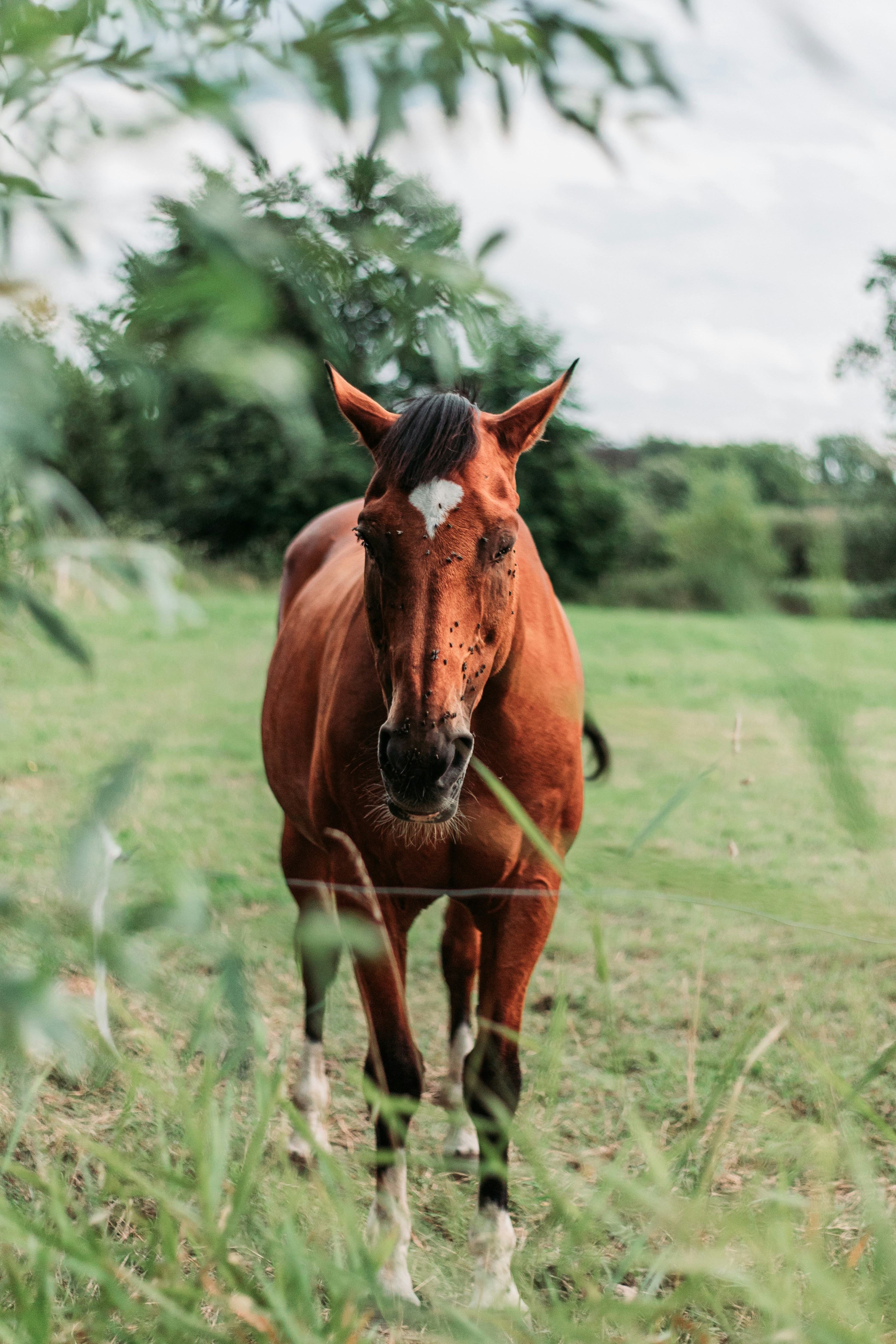 Photo by larsvanpoucke