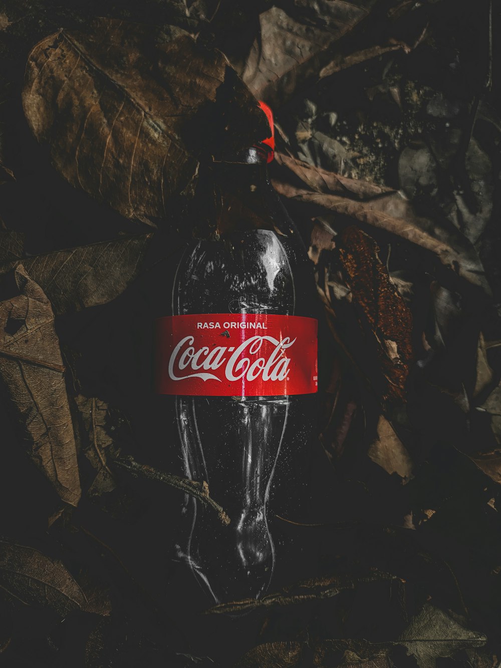 coca cola zero plastic bottle