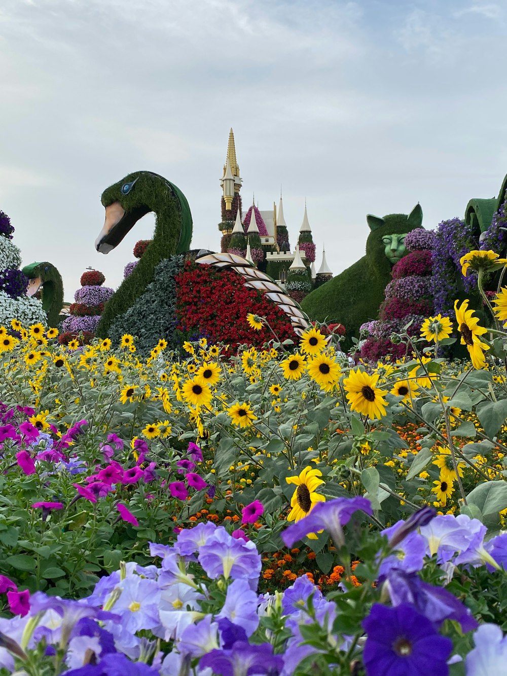 purple and yellow flowers on green grass field