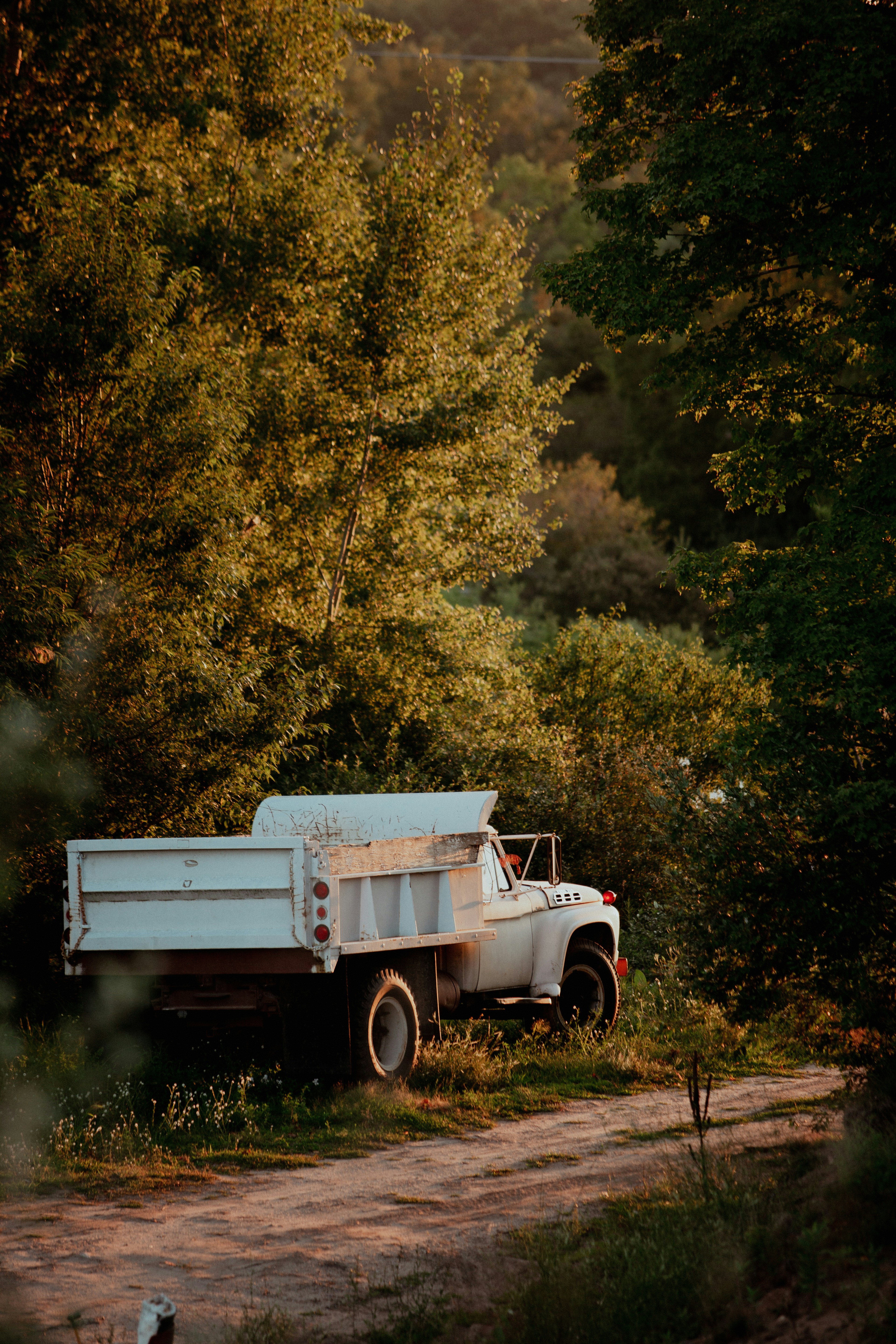 white and brown utility trailer on green grass field