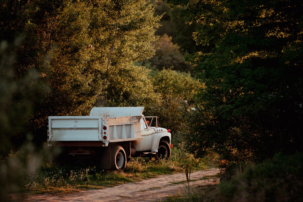 white single cab pickup truck parked near green trees during daytime