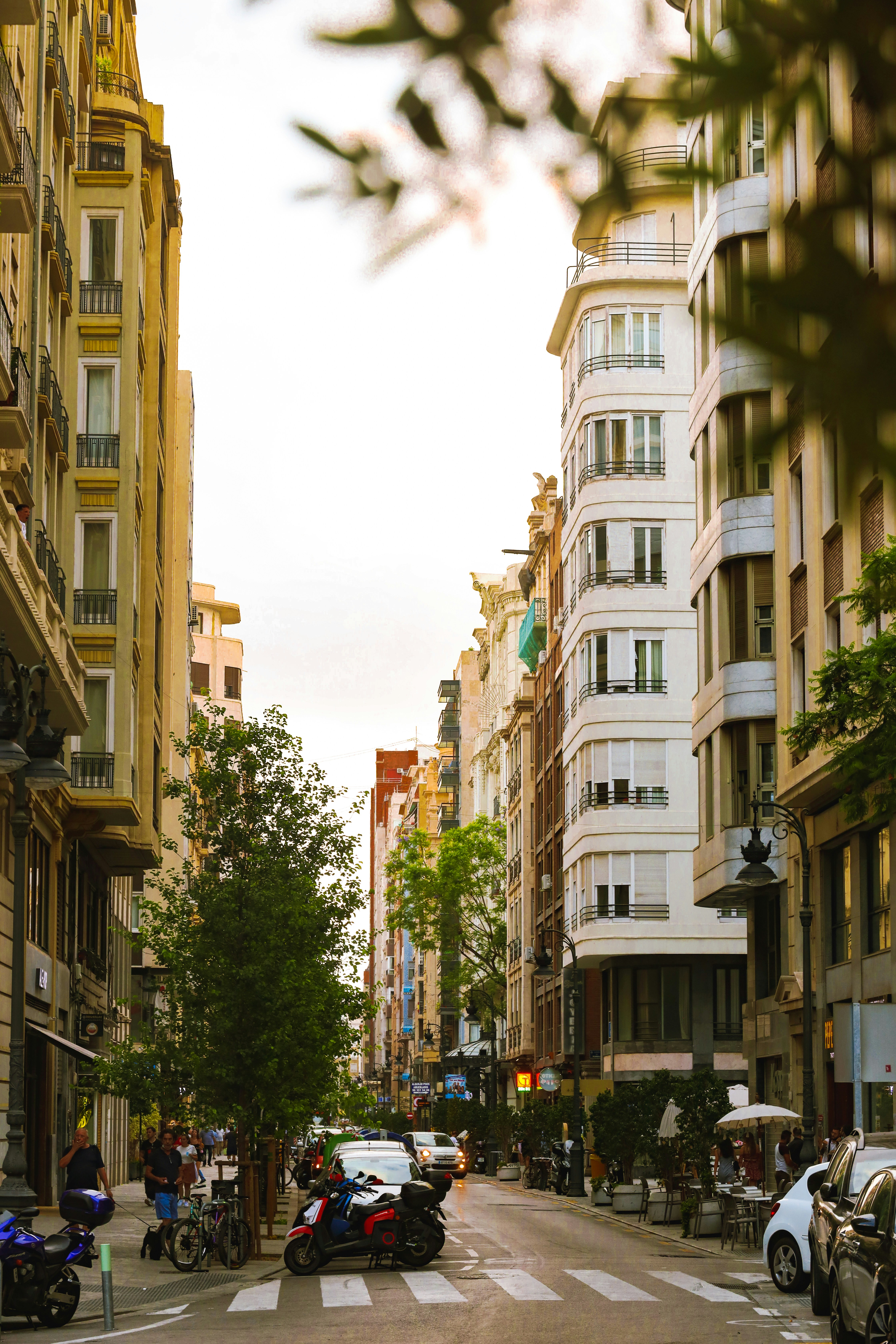 cars parked on side of the road in between high rise buildings during daytime