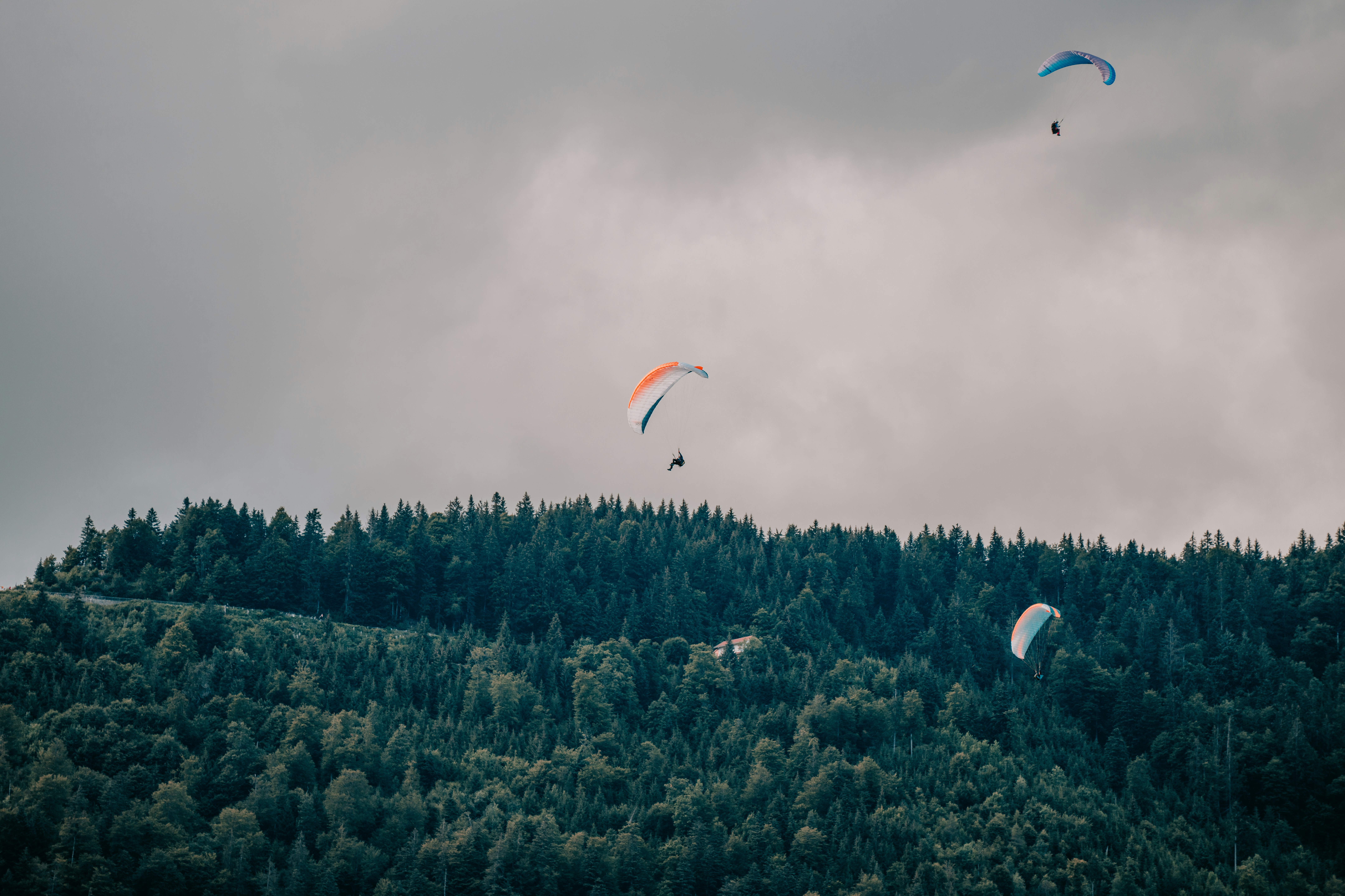 person in red parachute over green trees during daytime