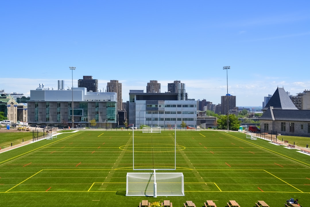 green grass field near city buildings during daytime