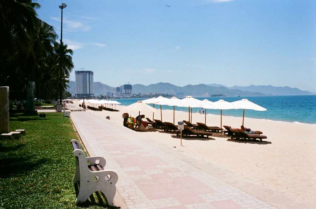 white and brown wooden lounge chairs on beach during daytime