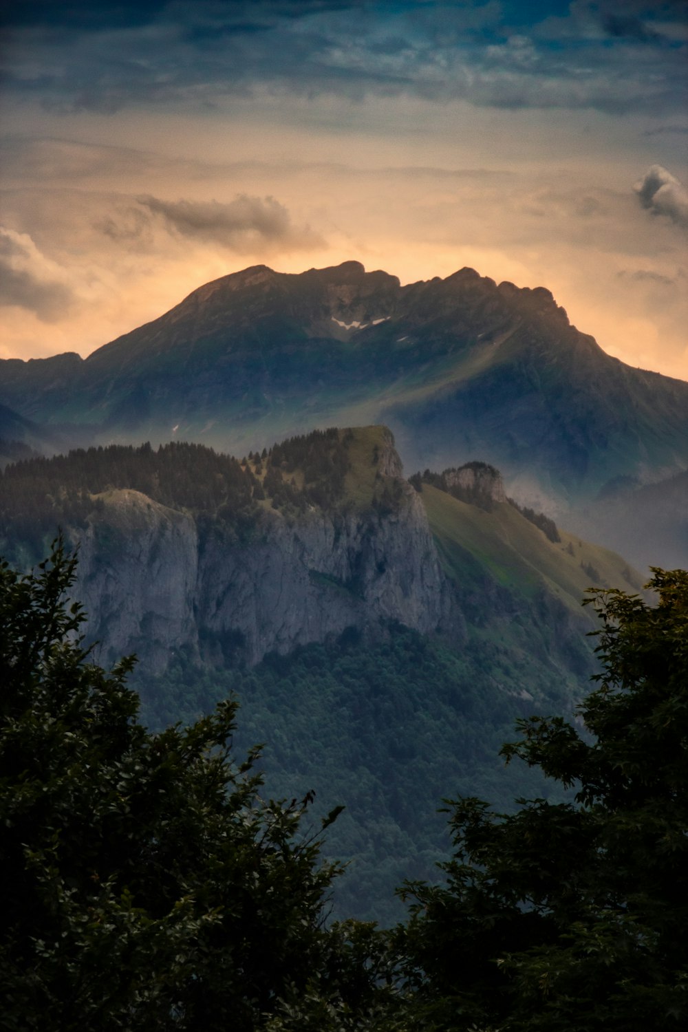 green trees near mountain during daytime