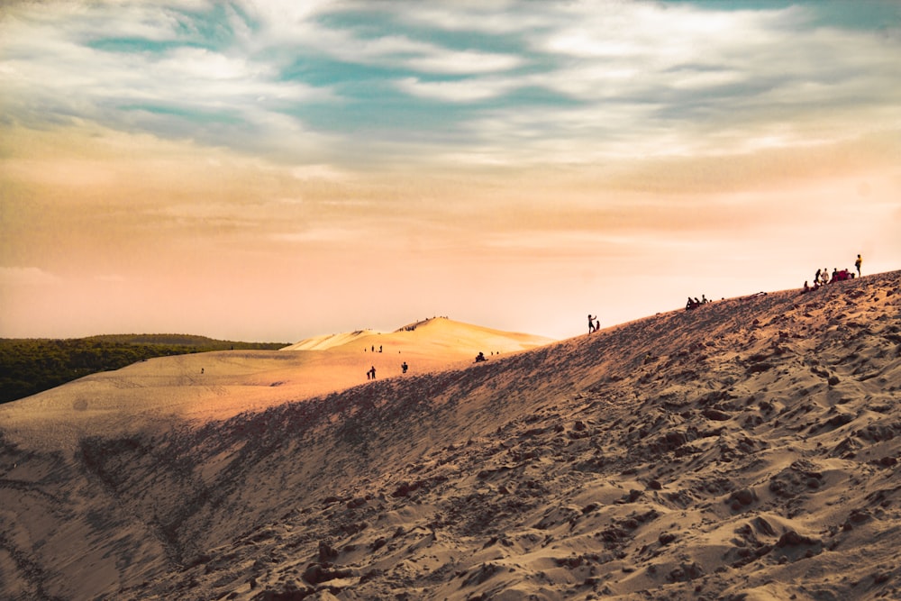 people walking on brown sand during daytime