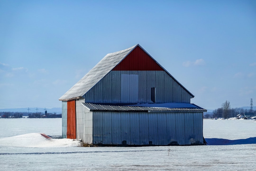 red and white wooden house on snow covered ground during daytime