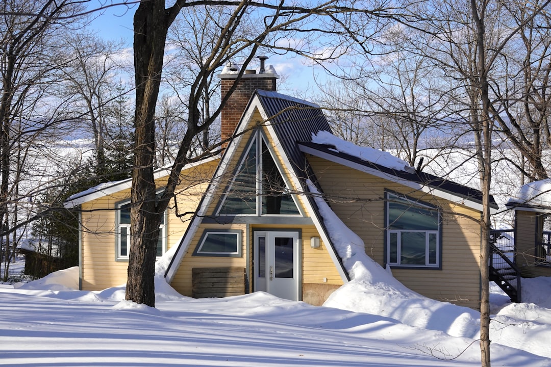 brown wooden house covered with snow near bare trees during daytime