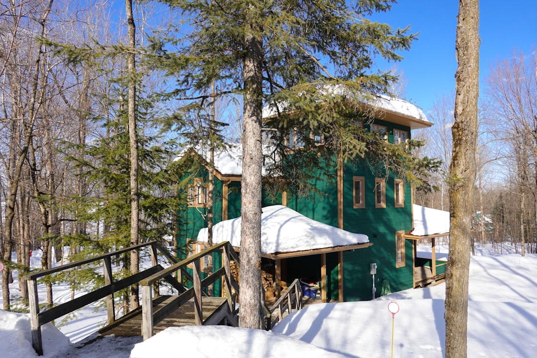 green and white wooden house surrounded by trees during daytime