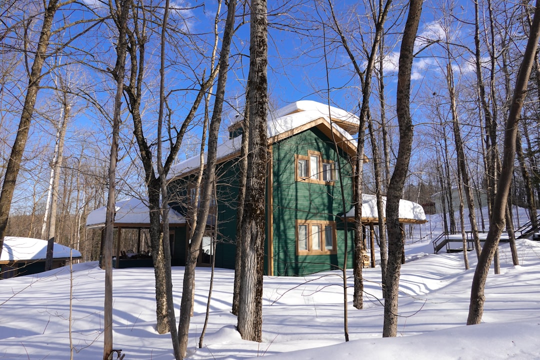 green wooden house in the middle of snow covered ground