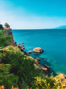 a body of water surrounded by trees and rocks
