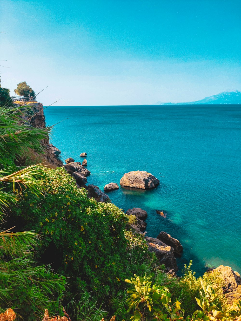 a body of water surrounded by trees and rocks