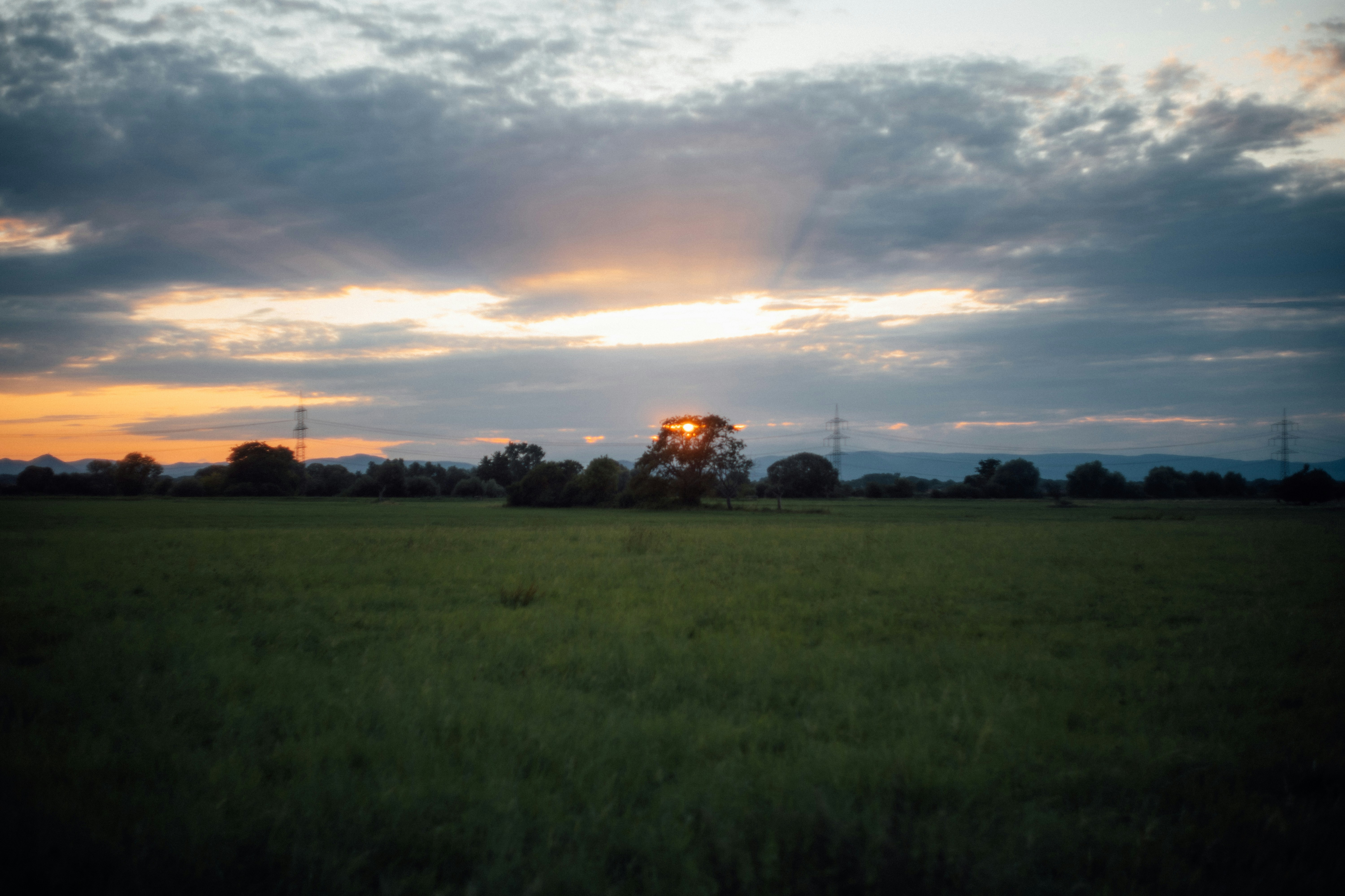 green grass field during sunset