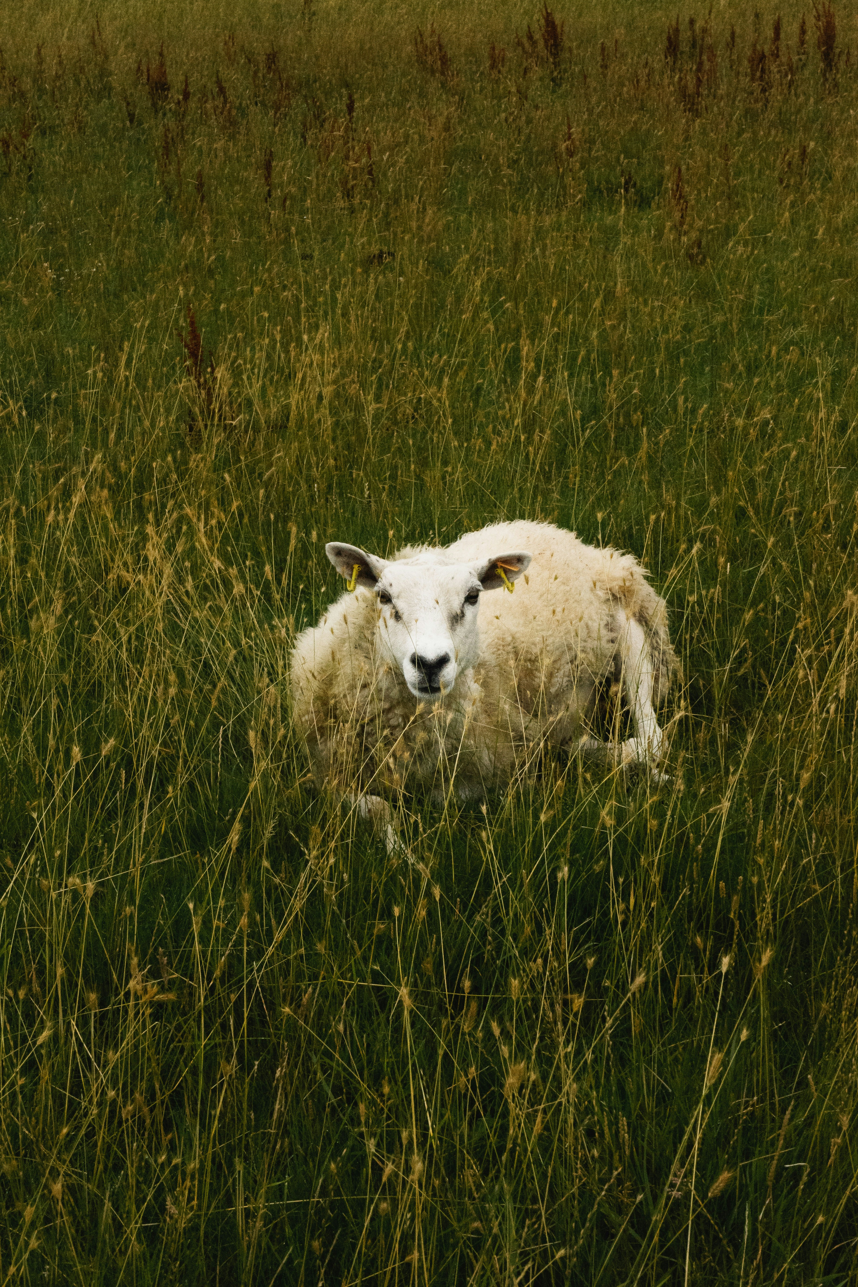 Photo by benjaminmerkle