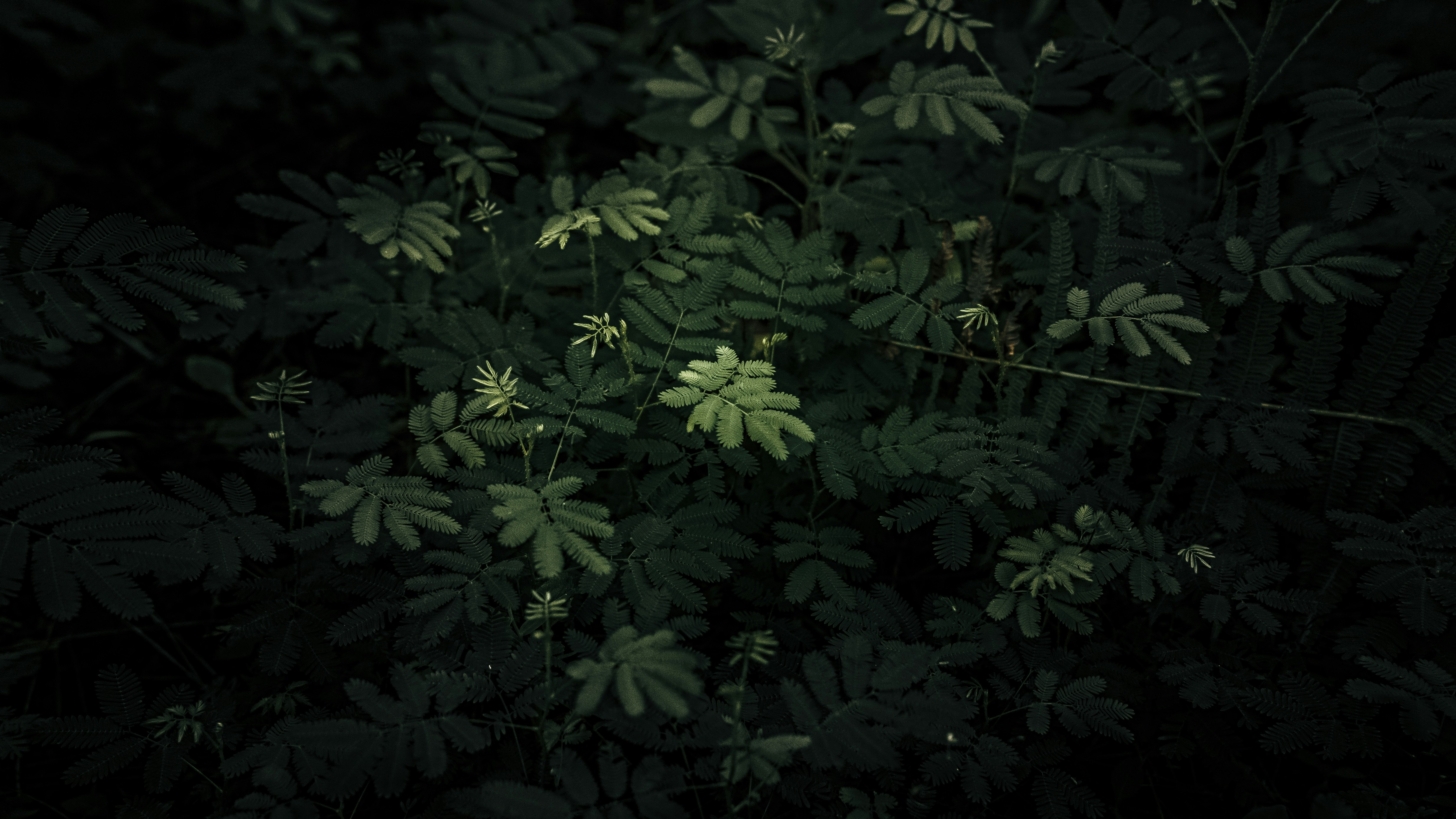 Photo by xiaowuuuuuuu