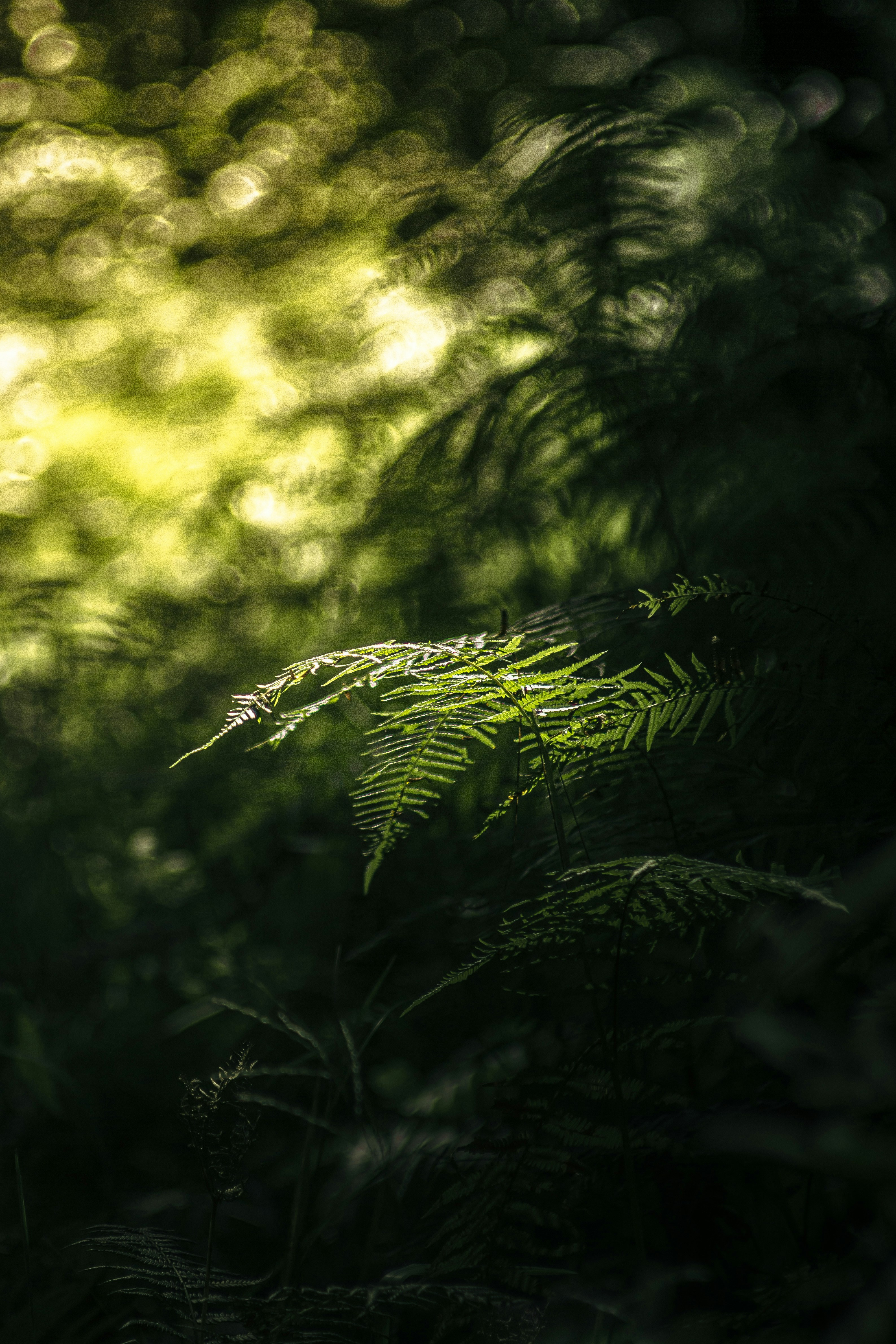 Photo by xiaowuuuuuuu