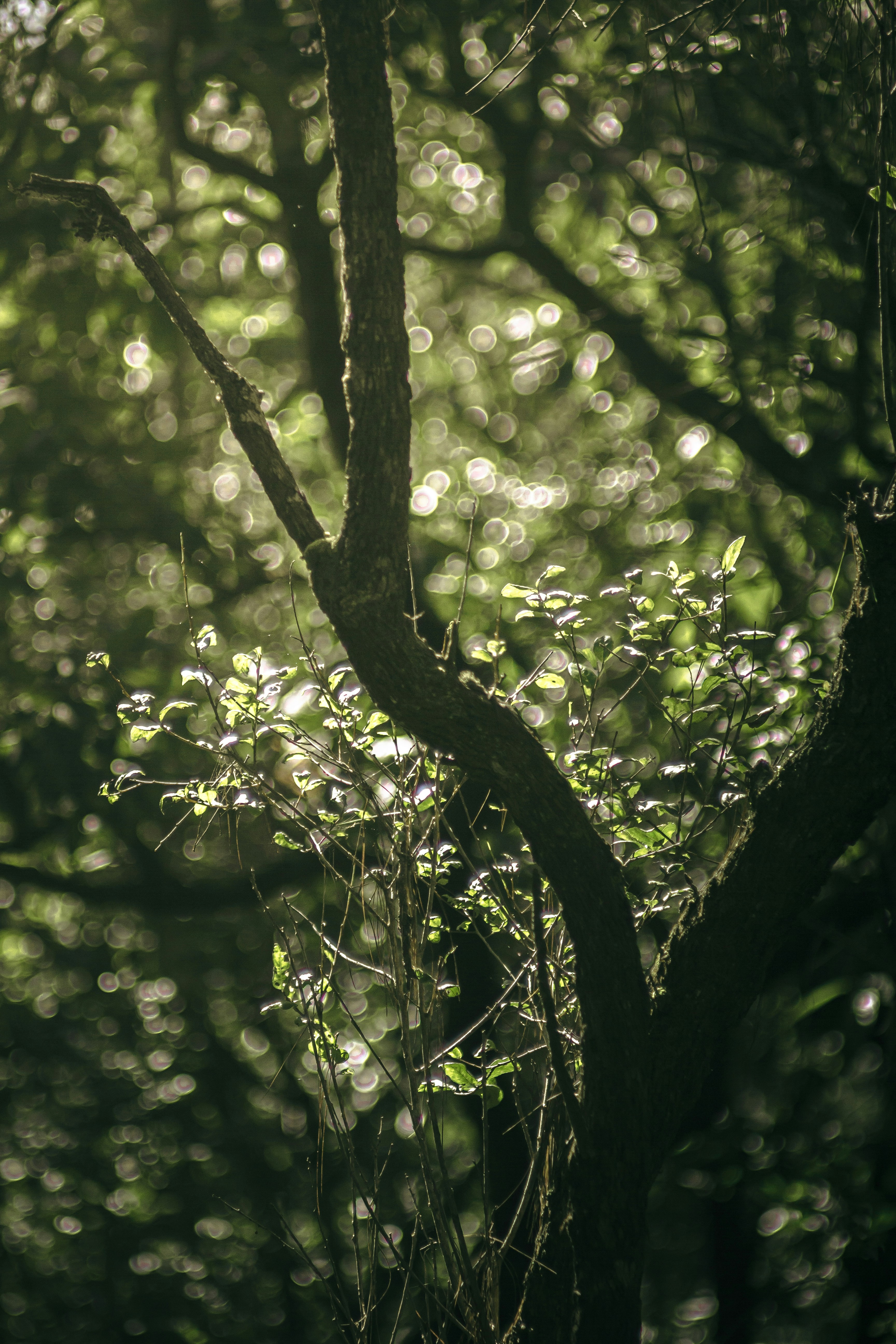 Photo by xiaowuuuuuuu