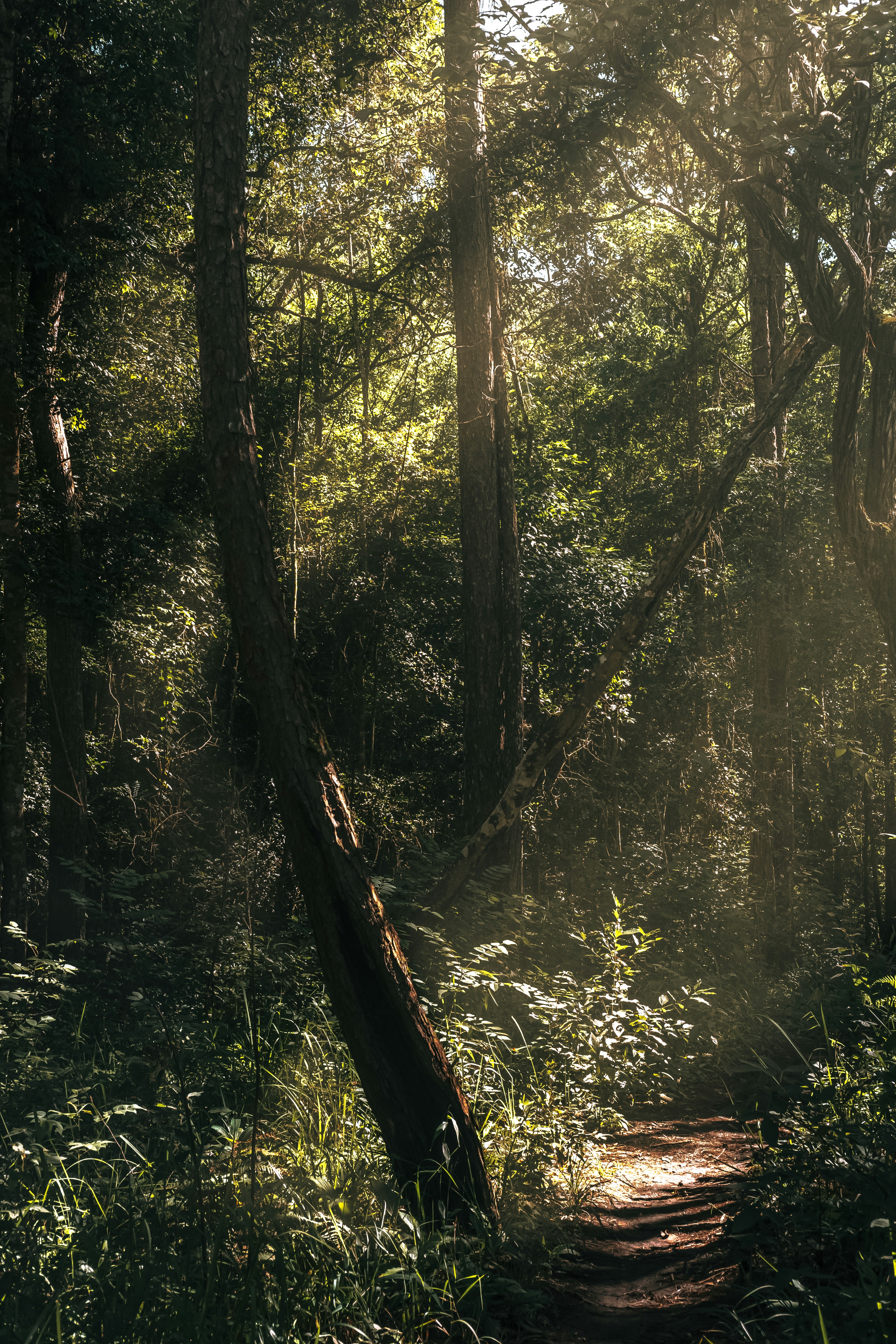 Photo by xiaowuuuuuuu