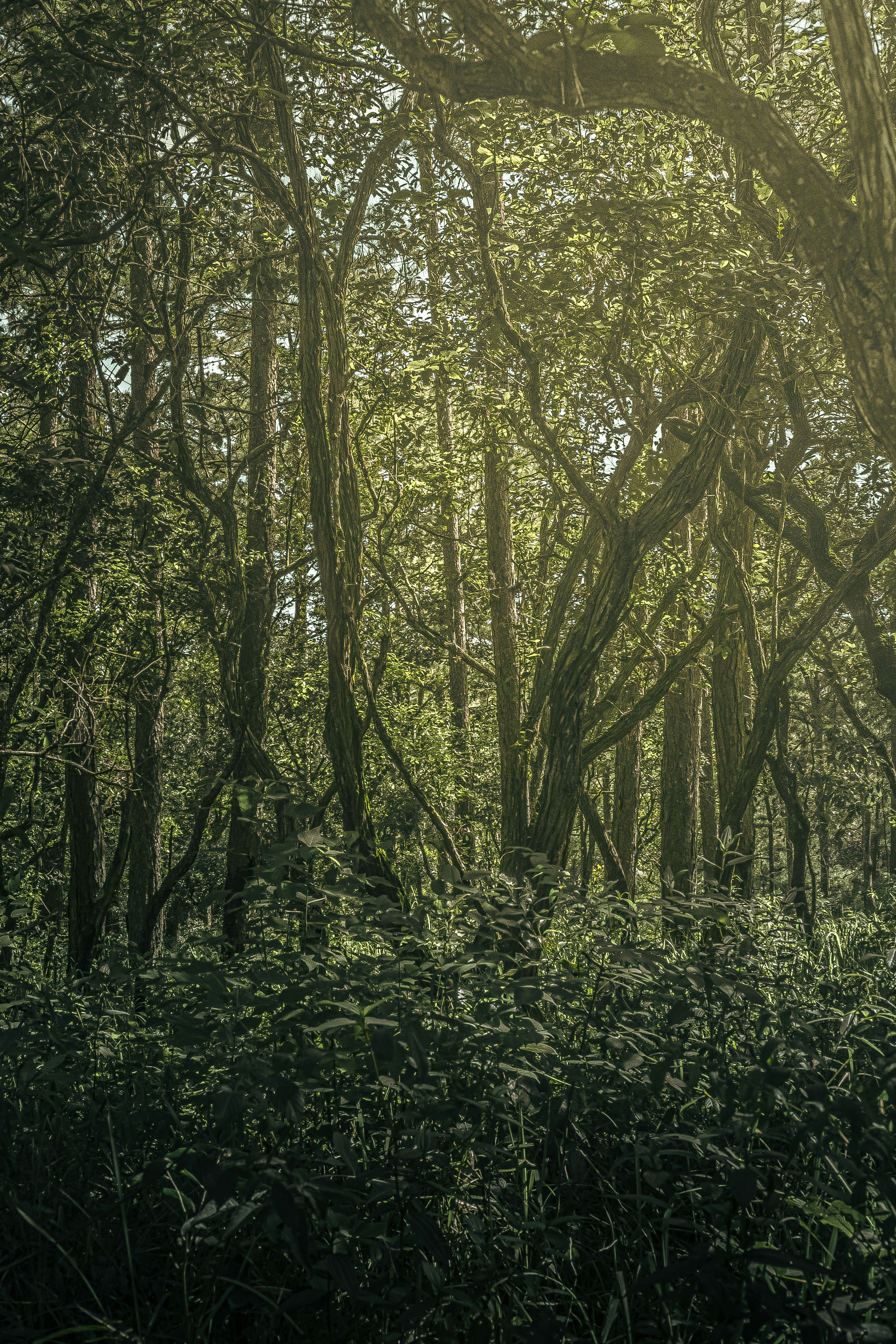 Photo by xiaowuuuuuuu