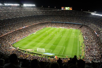 people watching soccer game in stadium