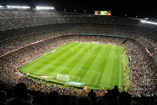 people watching soccer game in stadium