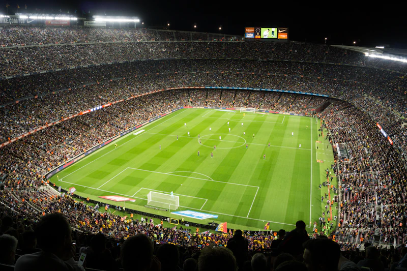 Fans watching a football match
