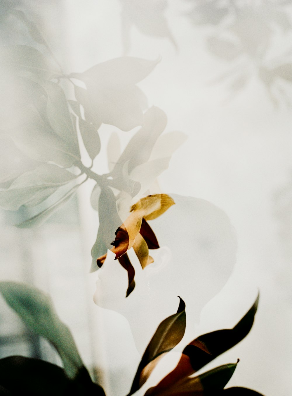 white and yellow flower in tilt shift lens