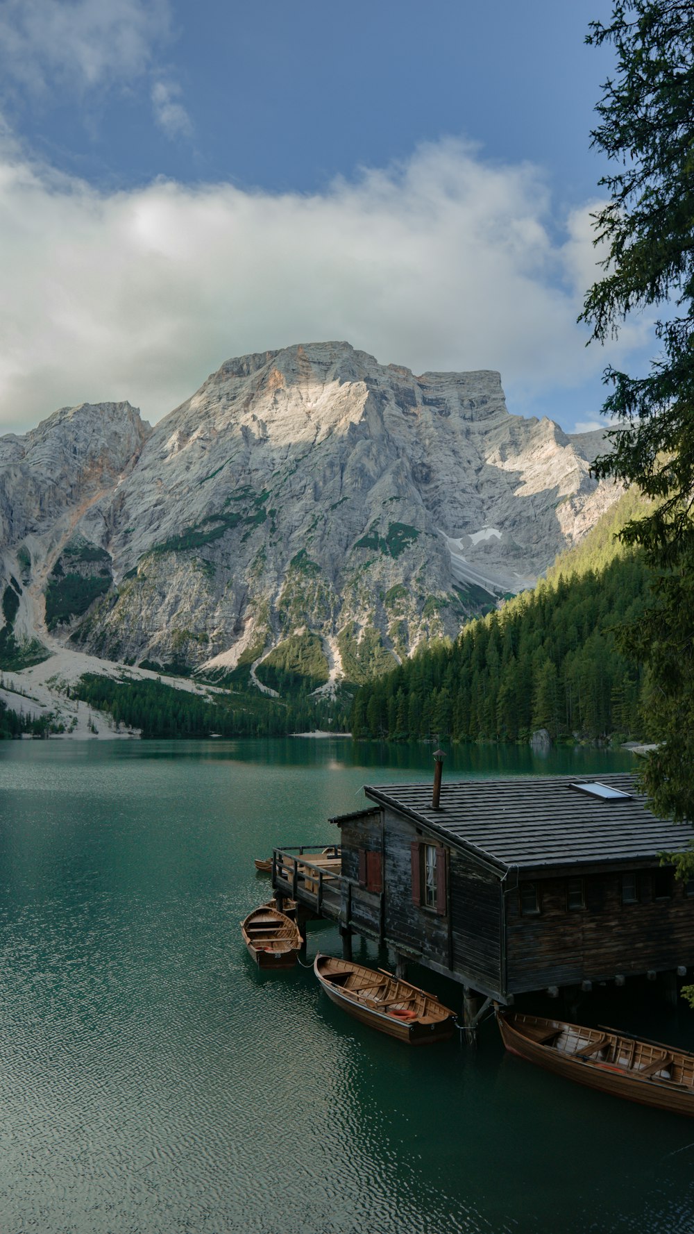 호수와 산 근처의 갈색 목조 주택