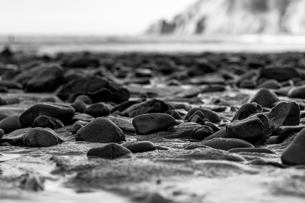해변에 바위의 그레이스케일 사진