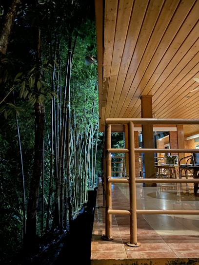 A cozy wooden deck is adjacent to a dense bamboo forest. The scene is warmly lit, with bamboo chairs arranged on the tiled floor and wooden railings lining the edge.