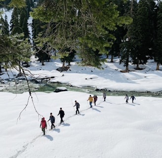 people playing ice hockey on snow covered field during daytime