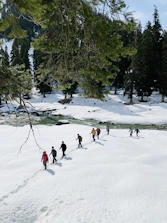 people playing ice hockey on snow covered field during daytime