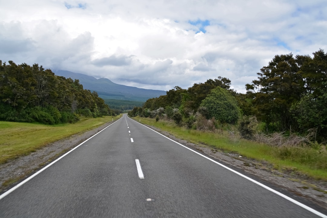 gray concrete road between green trees under white clouds during daytime