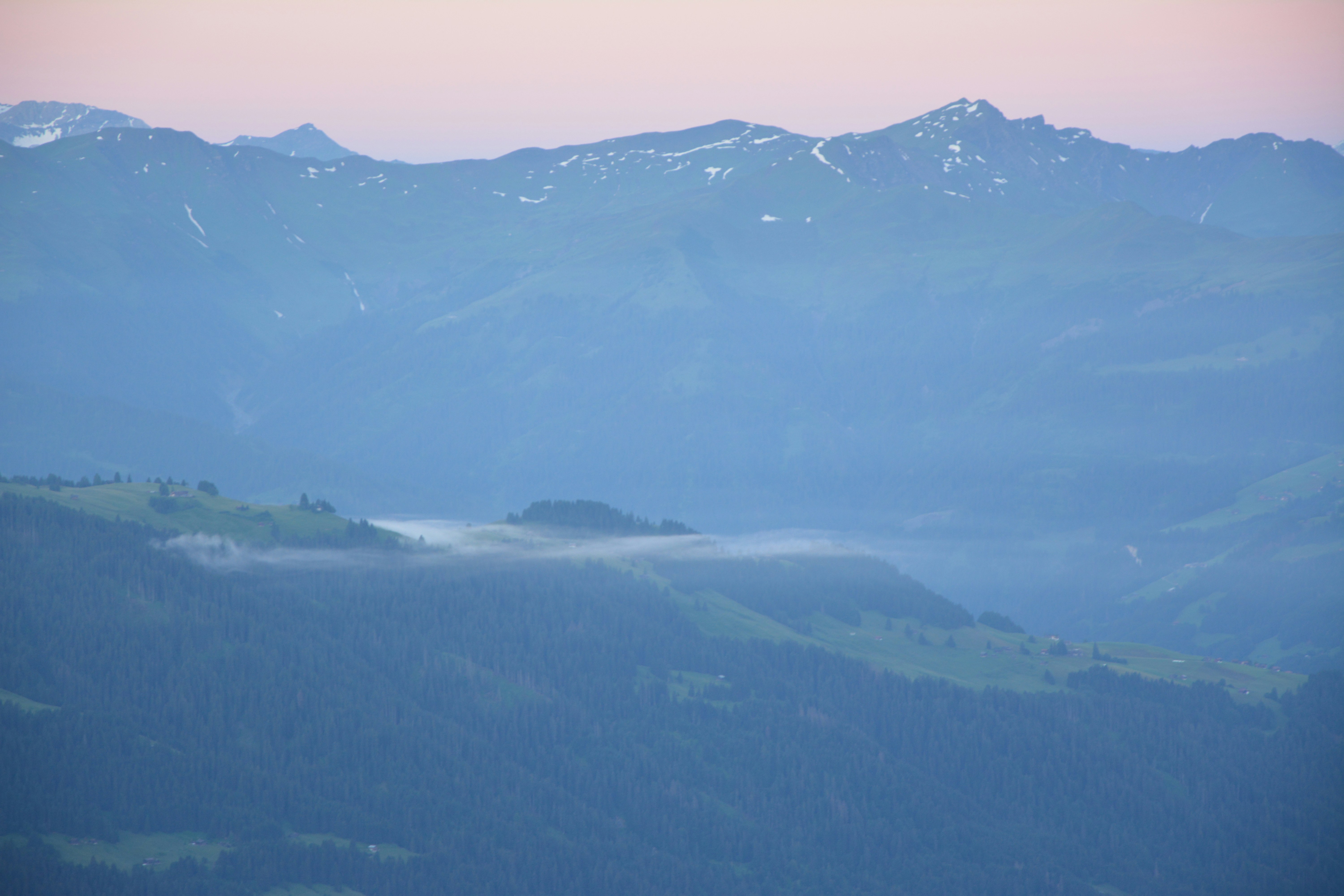 Photo by michael_ender