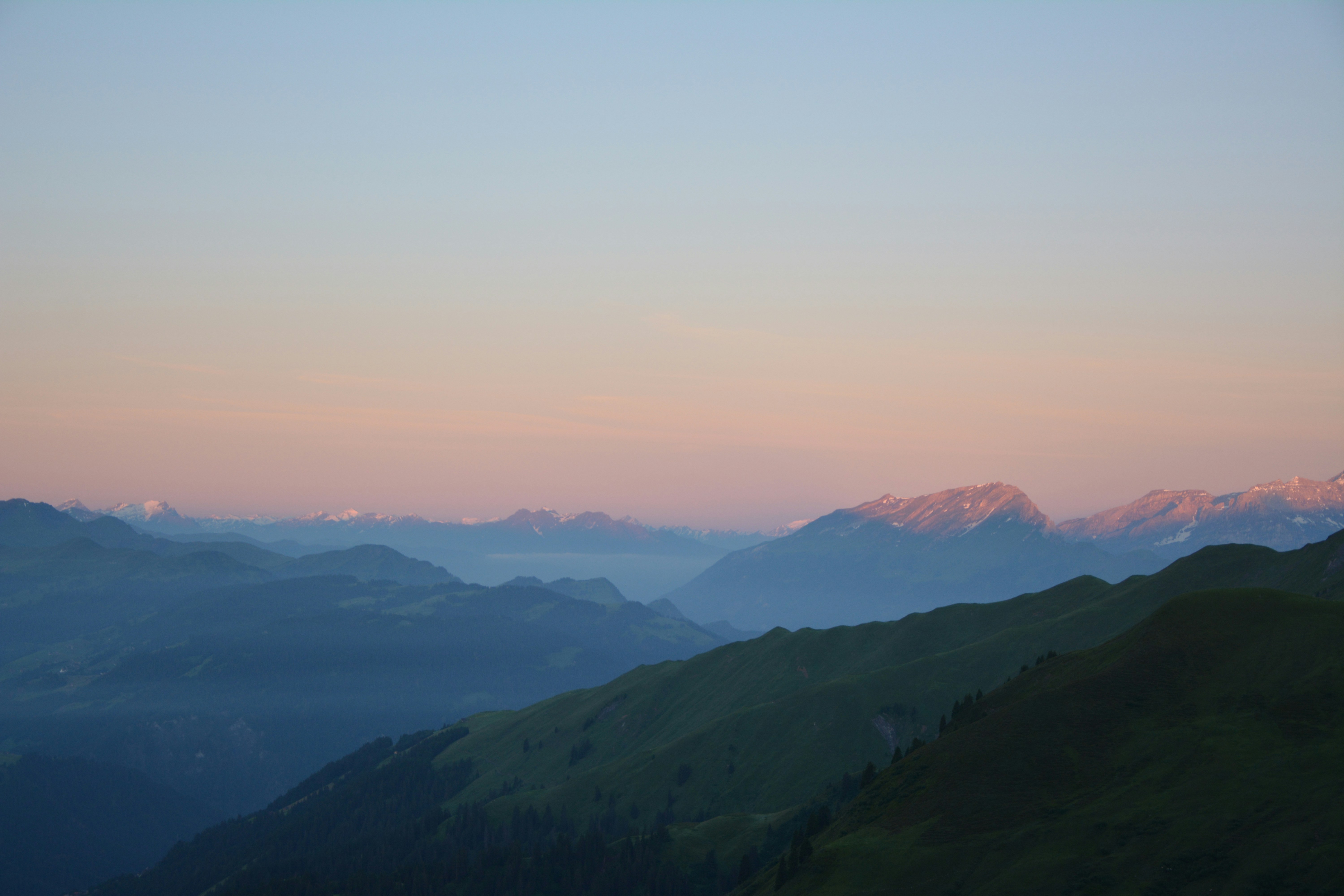 Photo by michael_ender