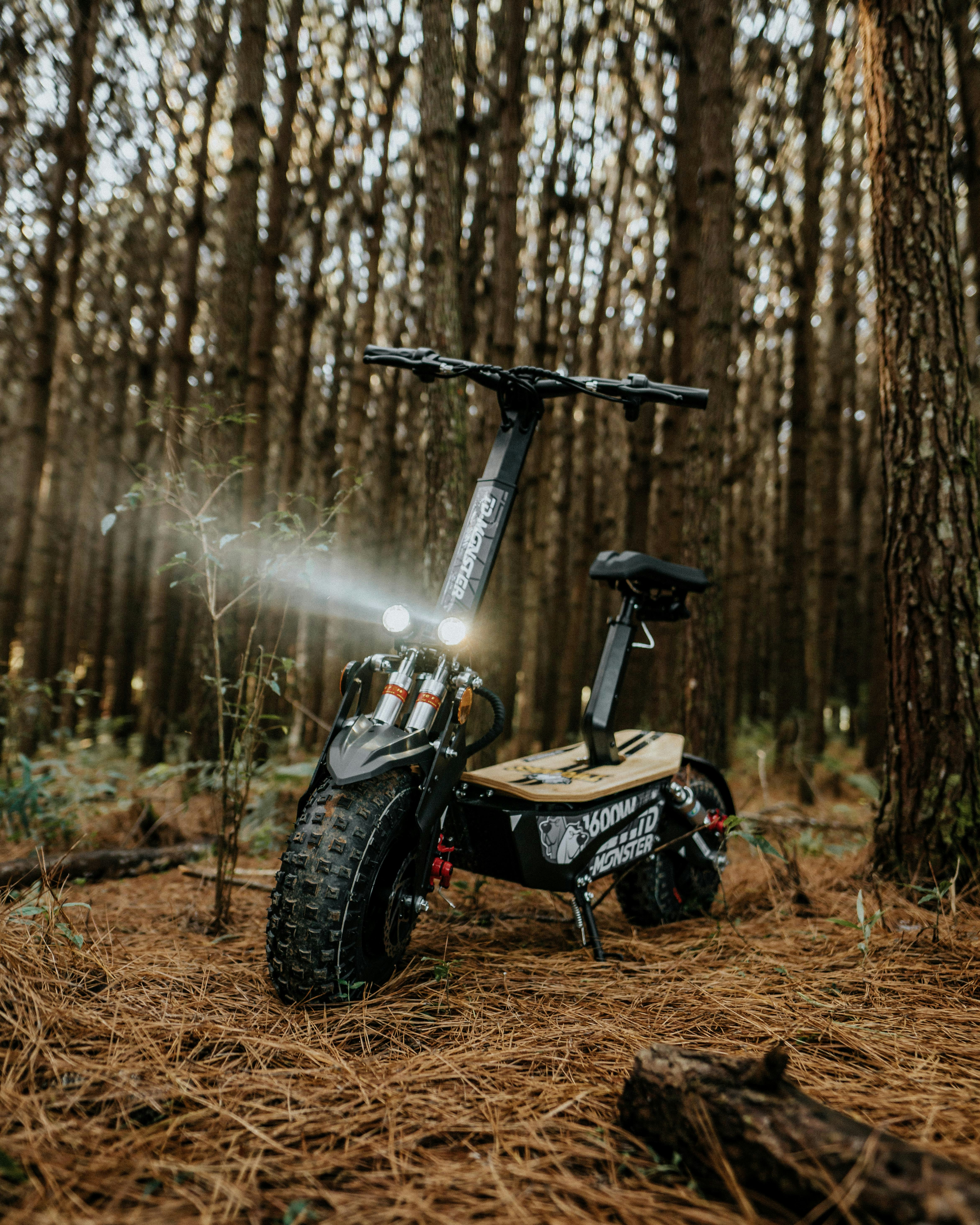 black and gray atv on brown dried leaves during daytime