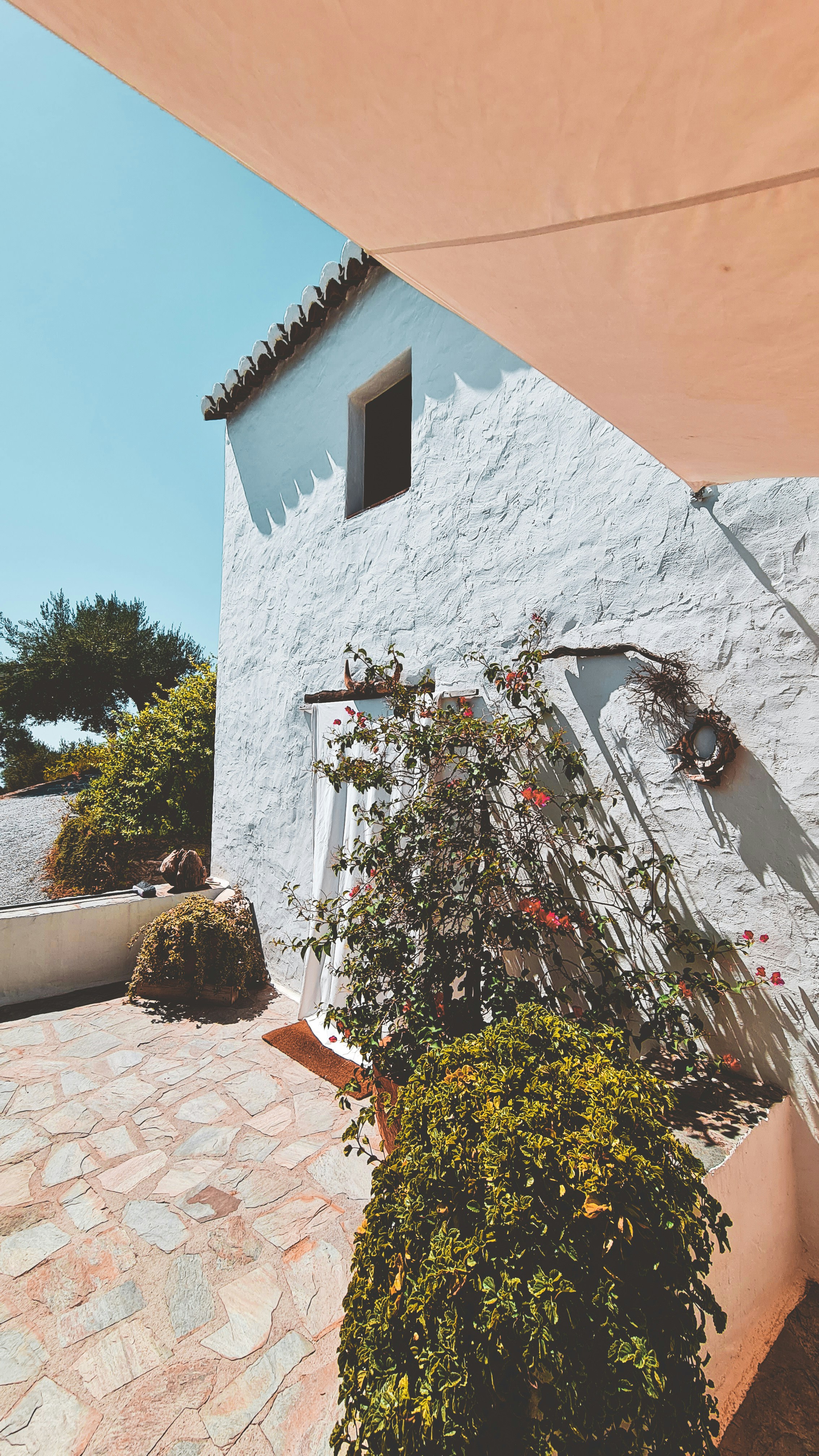 Photo by inmasantiago