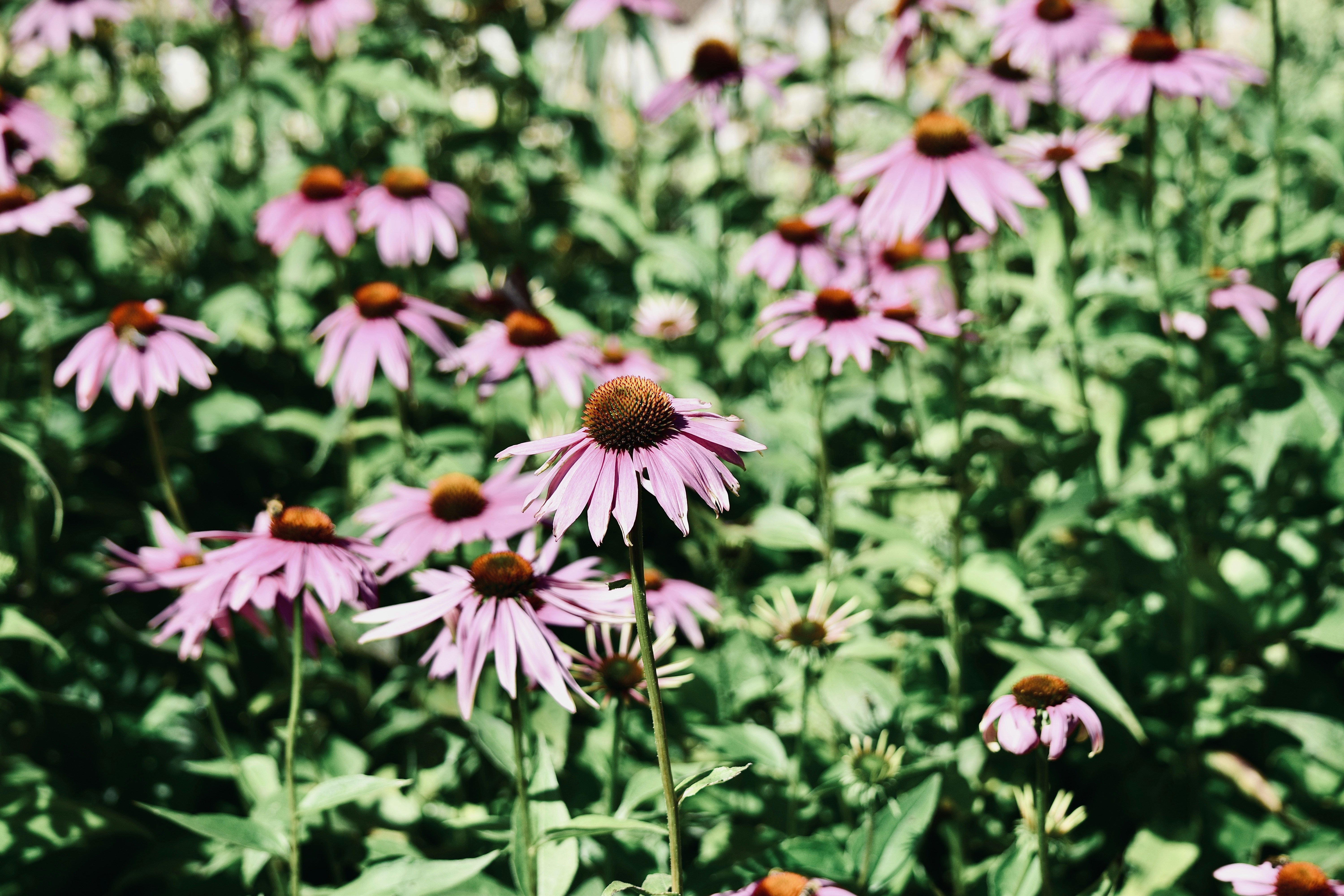 Photo by dhphotography24