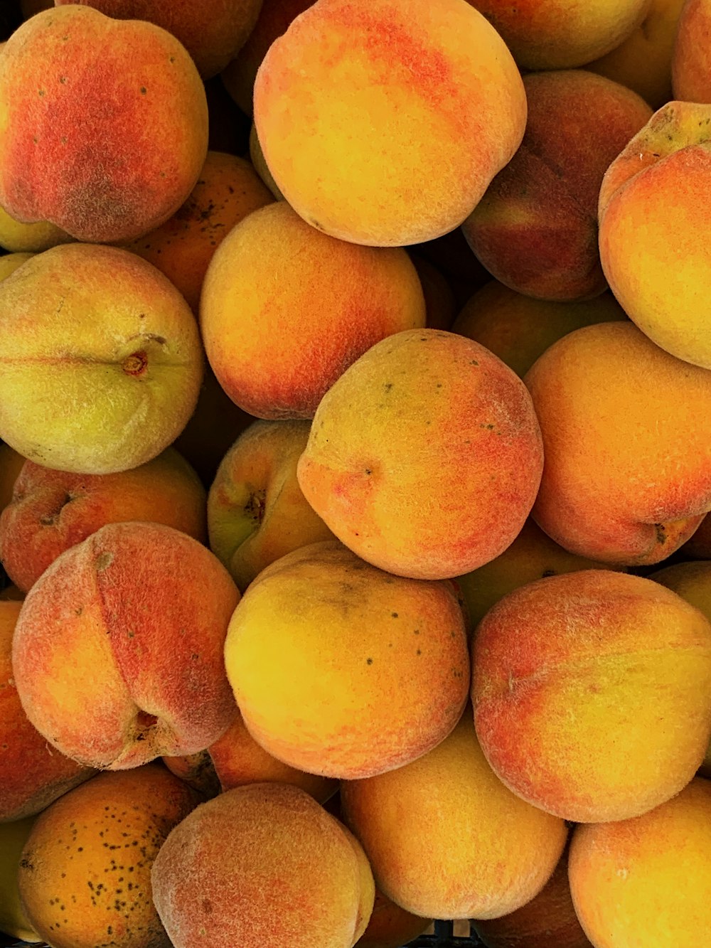 yellow and red round fruits