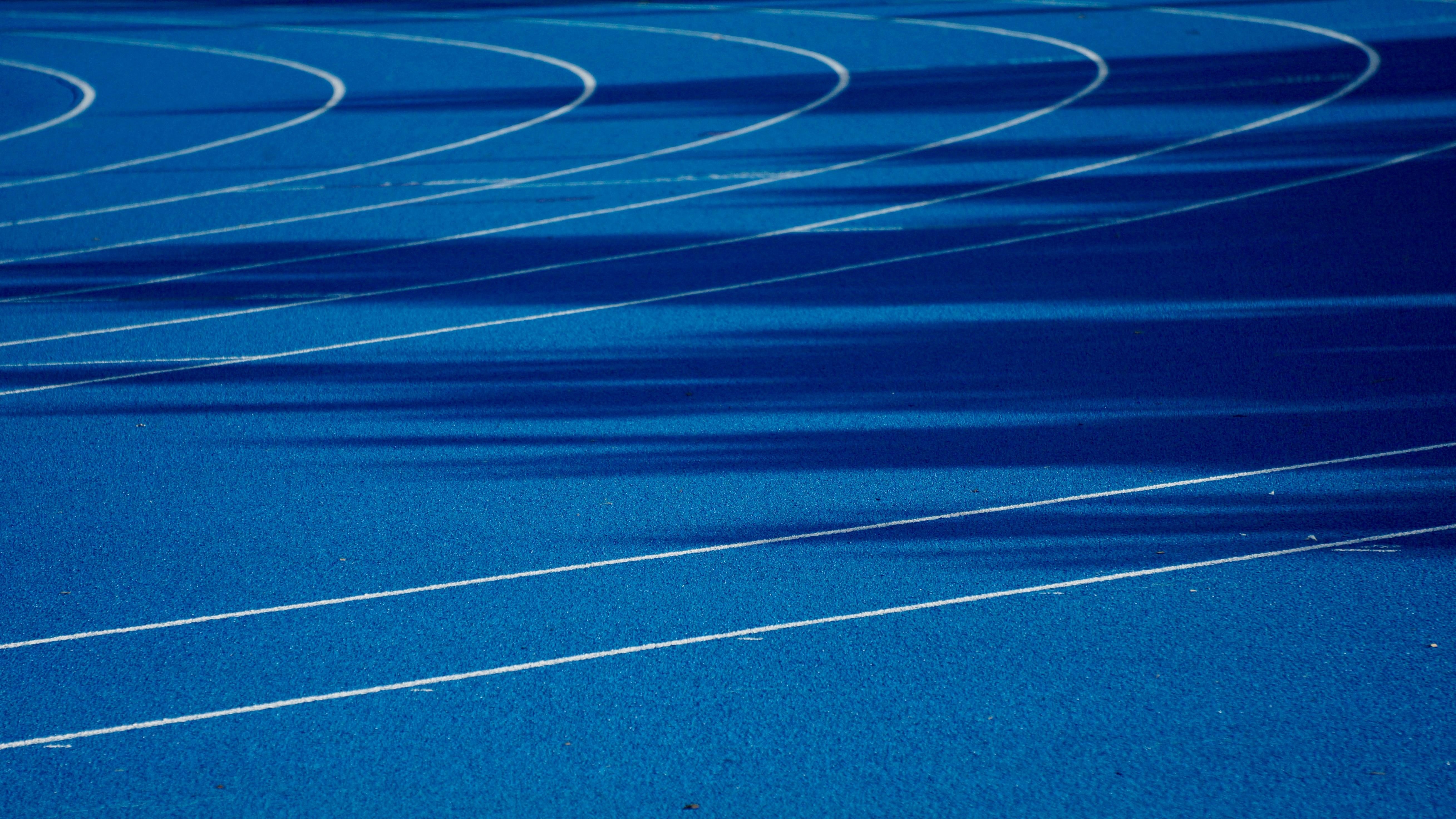 illustrazione della linea blu e gialla