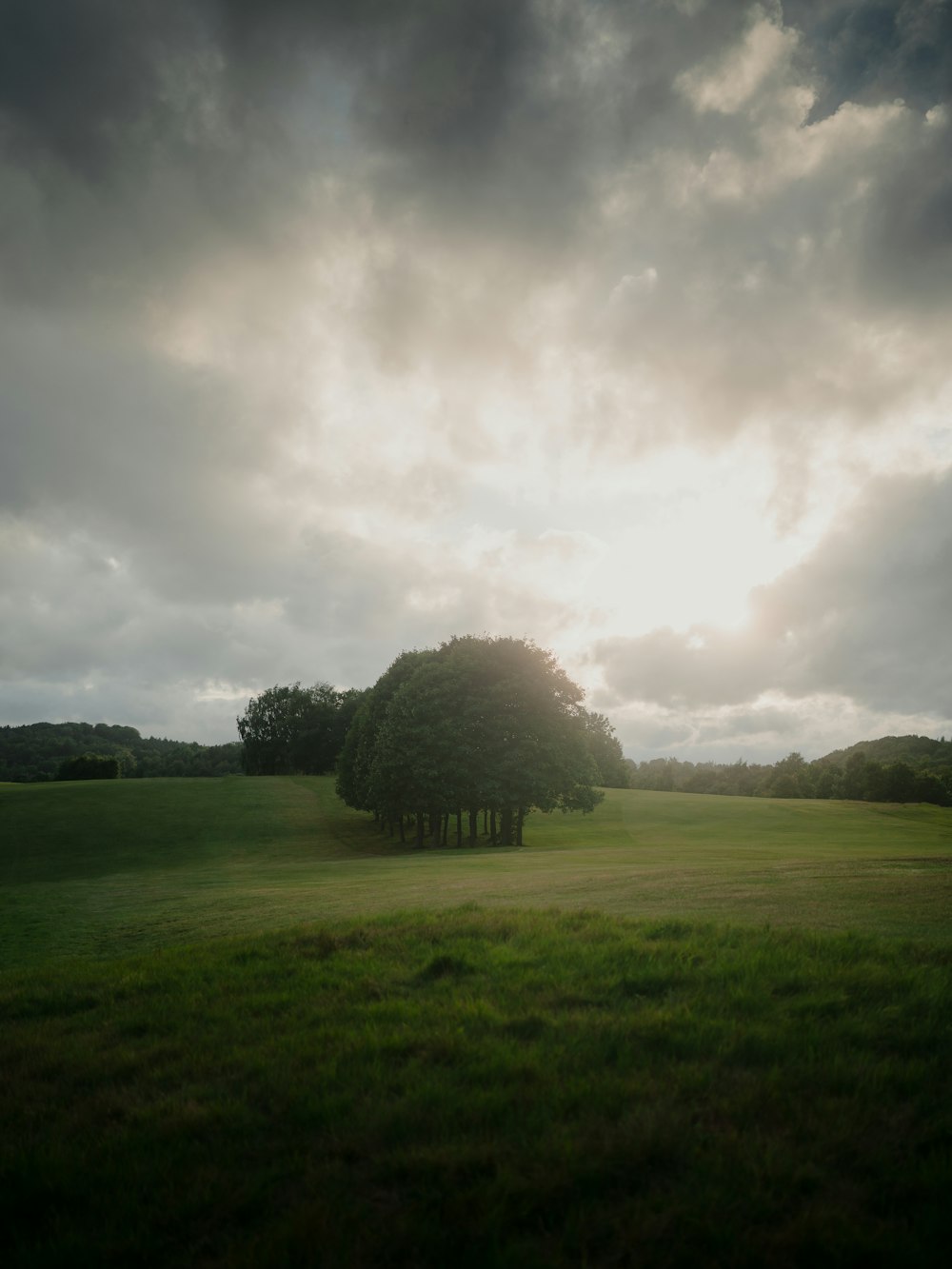 green grass field with trees under cloudy sky during daytime