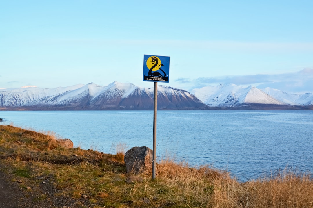 blue and white signage near body of water during daytime