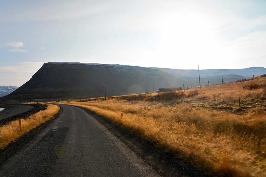 gray asphalt road between brown grass field during daytime